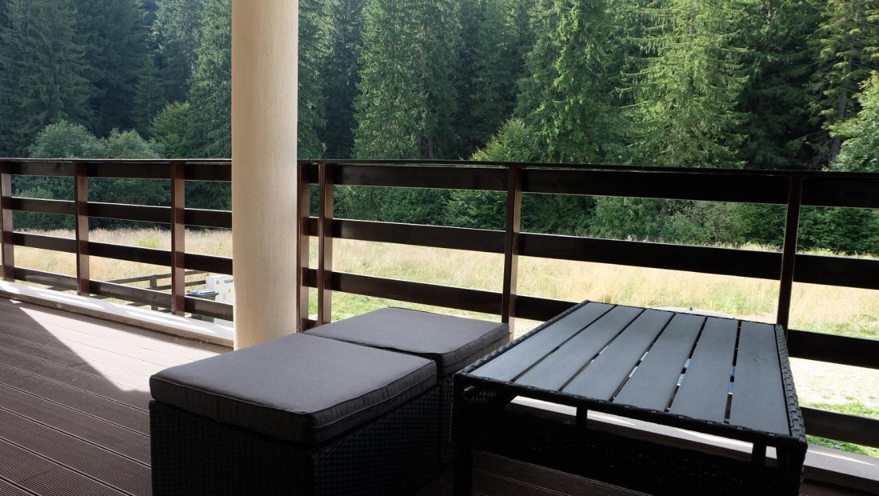 Poiana Ski Residence Apartment 5 포이아나브라소프 외부 사진